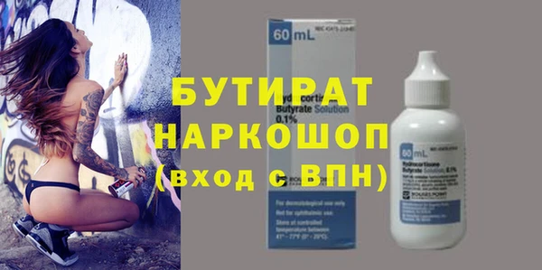 индика Дмитров