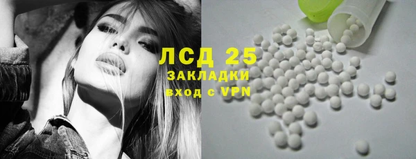 хмурый Гусев