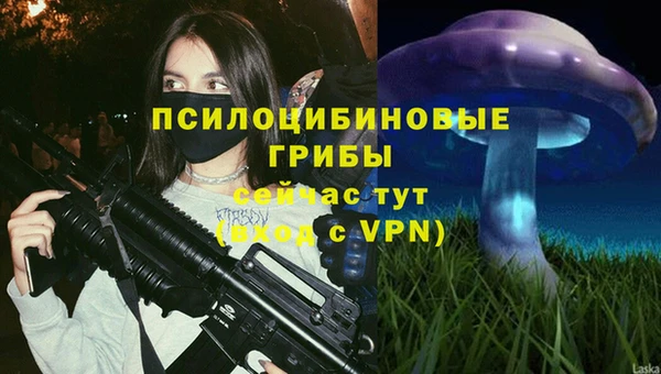 мдма Гусиноозёрск
