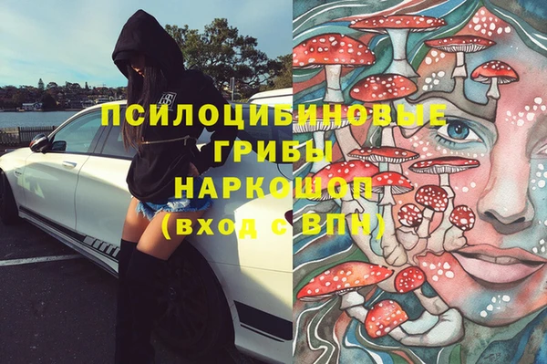 крисы Гусь-Хрустальный