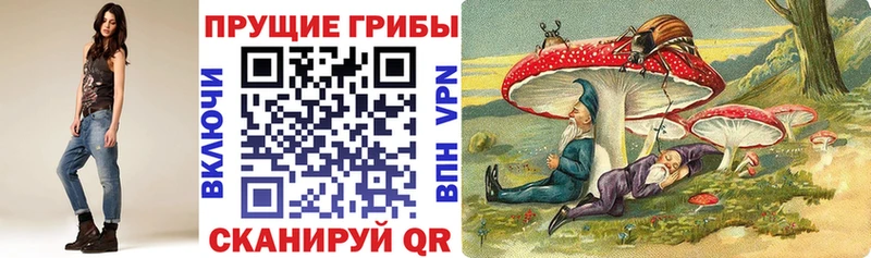 Галлюциногенные грибы Psilocybine cubensis  Купить закладки  Устюжна 